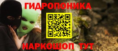 шишки Баксан
