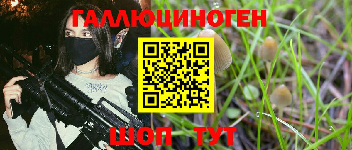 Галлюциногенные грибы прущие грибы  Галлюциногенные грибы мицелий  Гусь-Хрустальный  Вход с VPN 