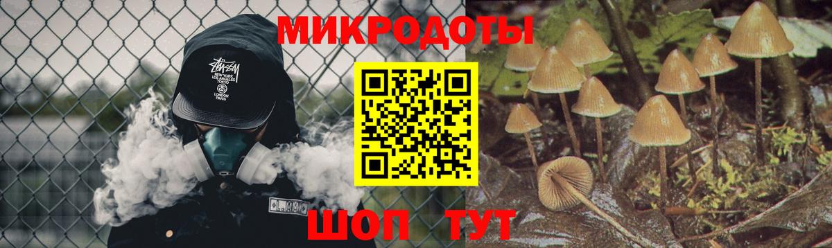 Галлюциногенные грибы прущие грибы Гусь-Хрустальный